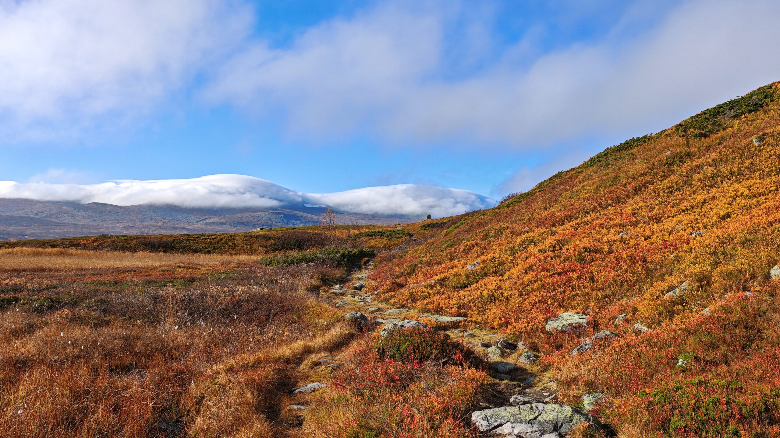 Vandra i fjällen