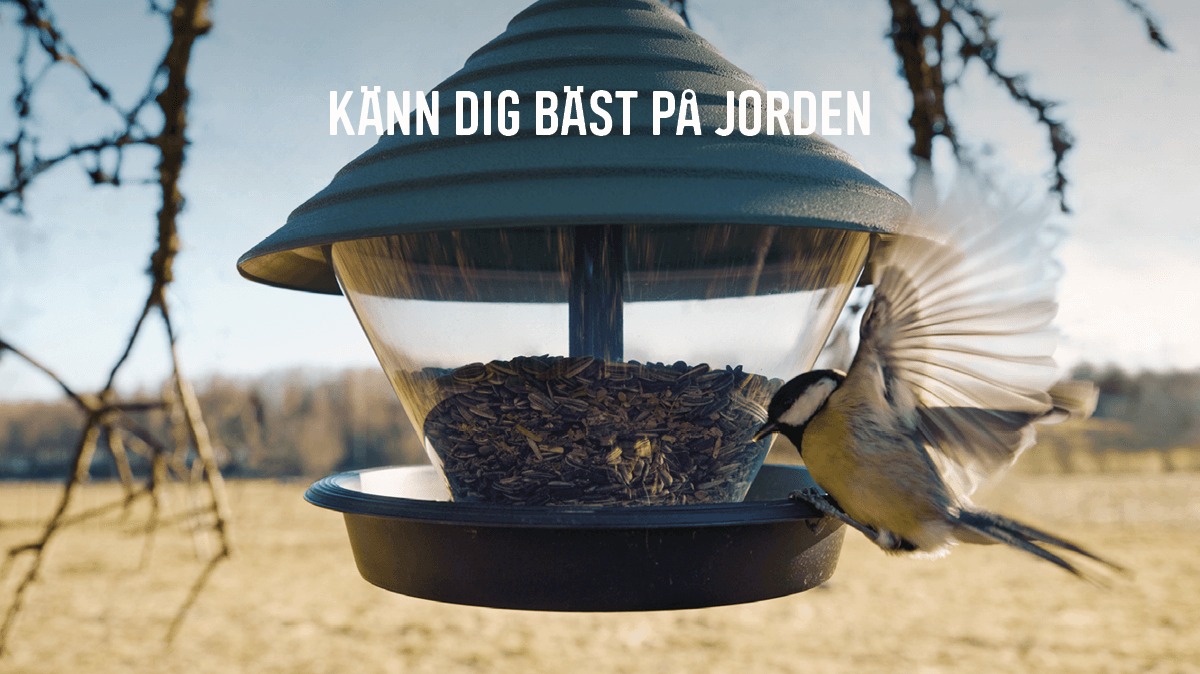 Granngården I VILHELMINA