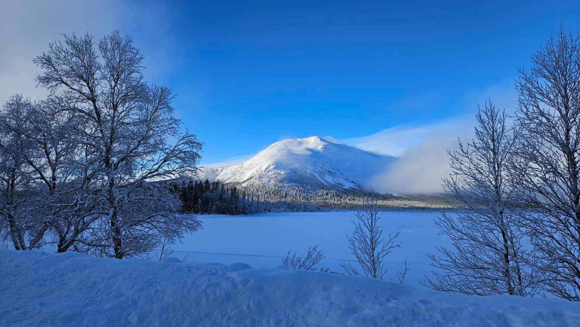 Matsdal Vinter Foto; Linda Jonsson