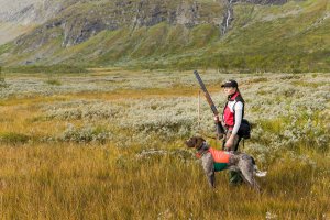Jakt SCA jägare med hund