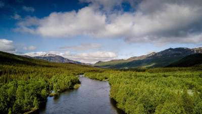 Plocnic Kittelfjäll